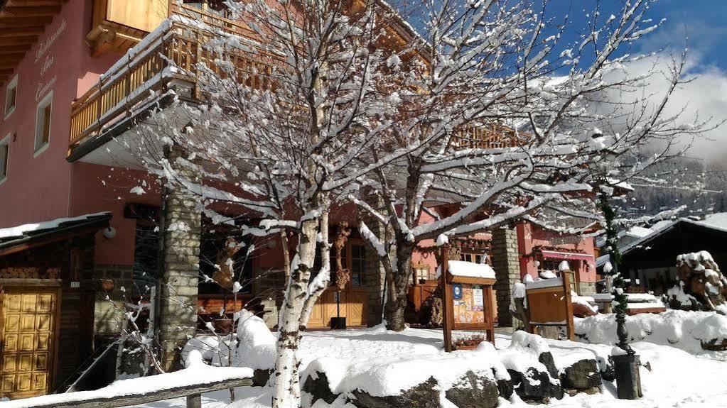 Hibou Chambres - กอนเญ ภายนอก รูปภาพ